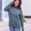 Shetland Chevron Yoke Sweater